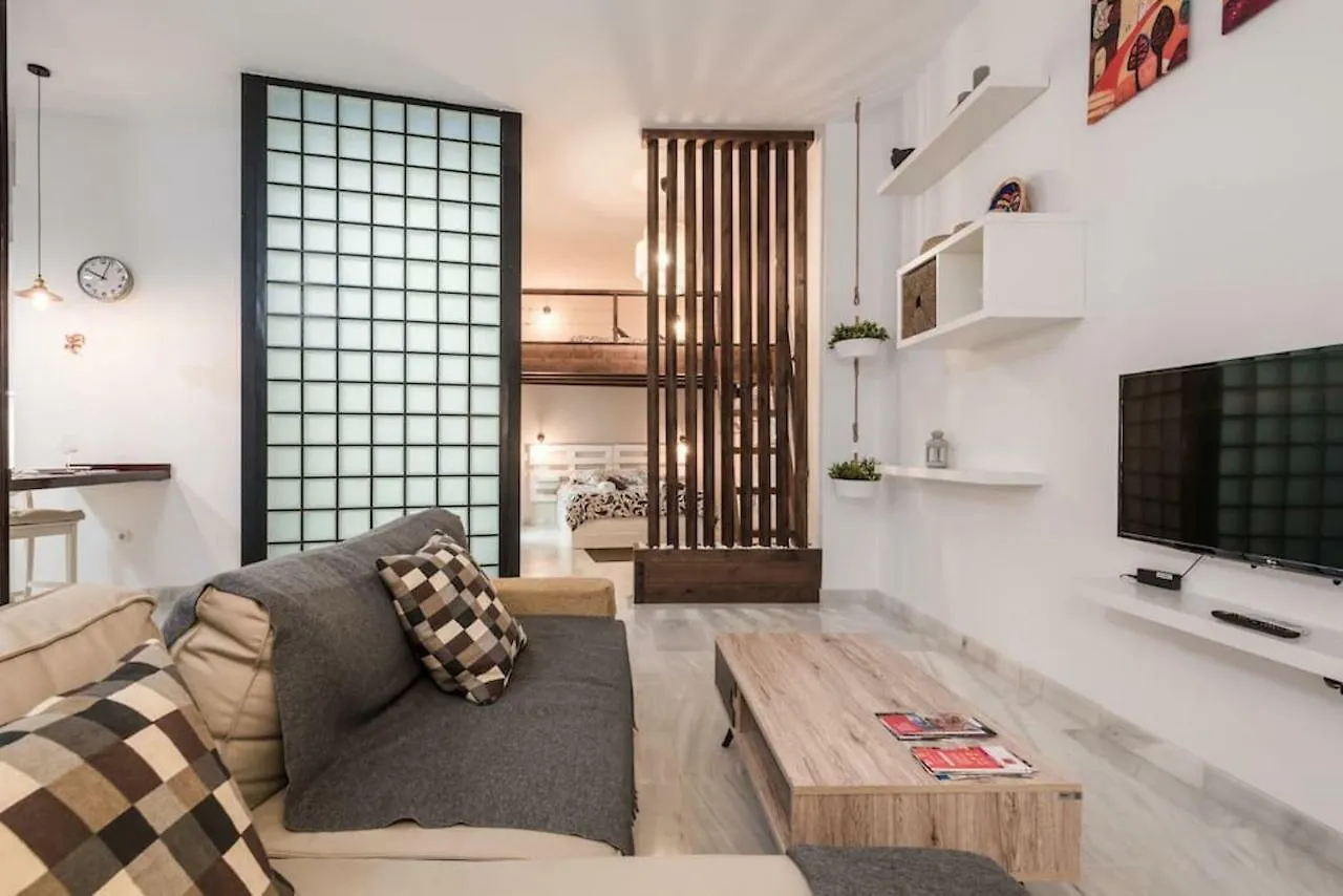 Design Apartment In The City Center Malaga